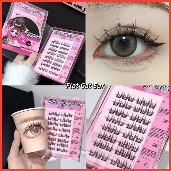  #01 Flat cat eye hộp lông mi giả tự nối có keo sẵn (48 cụm) 
