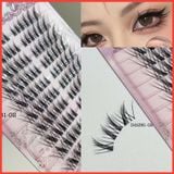  381-02 hộp lông mi lông chồn 10 cặp sợi cước gân trong 