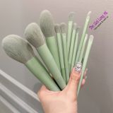  K22 SET CỌ CÁ NHÂN 11 CÂY LÔNG THÚ XANH LÁ PASTEL 