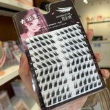  Zhuang Cai Yan Lông mi tự nối dáng mắt xếch (120 miếng) 