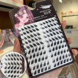  Zhuang Cai Yan Lông mi tự nối dáng mắt xếch (120 miếng) 