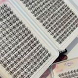 FC032-B hộp lông mi tự nối 5D số lượng 400 cụm thương hiệu Faiccia 