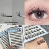  Gege Bear hộp lông mi giả 100 cụm tự nối tại nhà (có keo nối mi sẵn) 