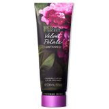  Sữa Dưỡng Thể Victoria’s Secret Velvet Petals Untamed 236ml 