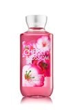  Sữa tắm Bath & Body Works Cherry Blossom Shower Gel 295ml 