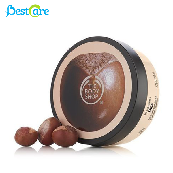 Dưỡng Thể THE BODY SHOP Body Butter Beurre Corps Shea BestCare Việt Nam