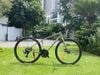 Xe Đạp Đường Phố Touring LIV Alight 3 DD Disc 700c