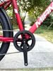 Xe đạp thể thao Miamor Youth 26 inch