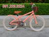 Xe đạp RoyalBaby Macaron Vintage 20 inch