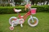 Xe đạp trẻ em RoyalBaby StarGirl size 12 cho bé 2-5