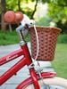 Xe đạp RoyalBaby Macaron Vintage 16 inch cho bé 4-8 tuổi