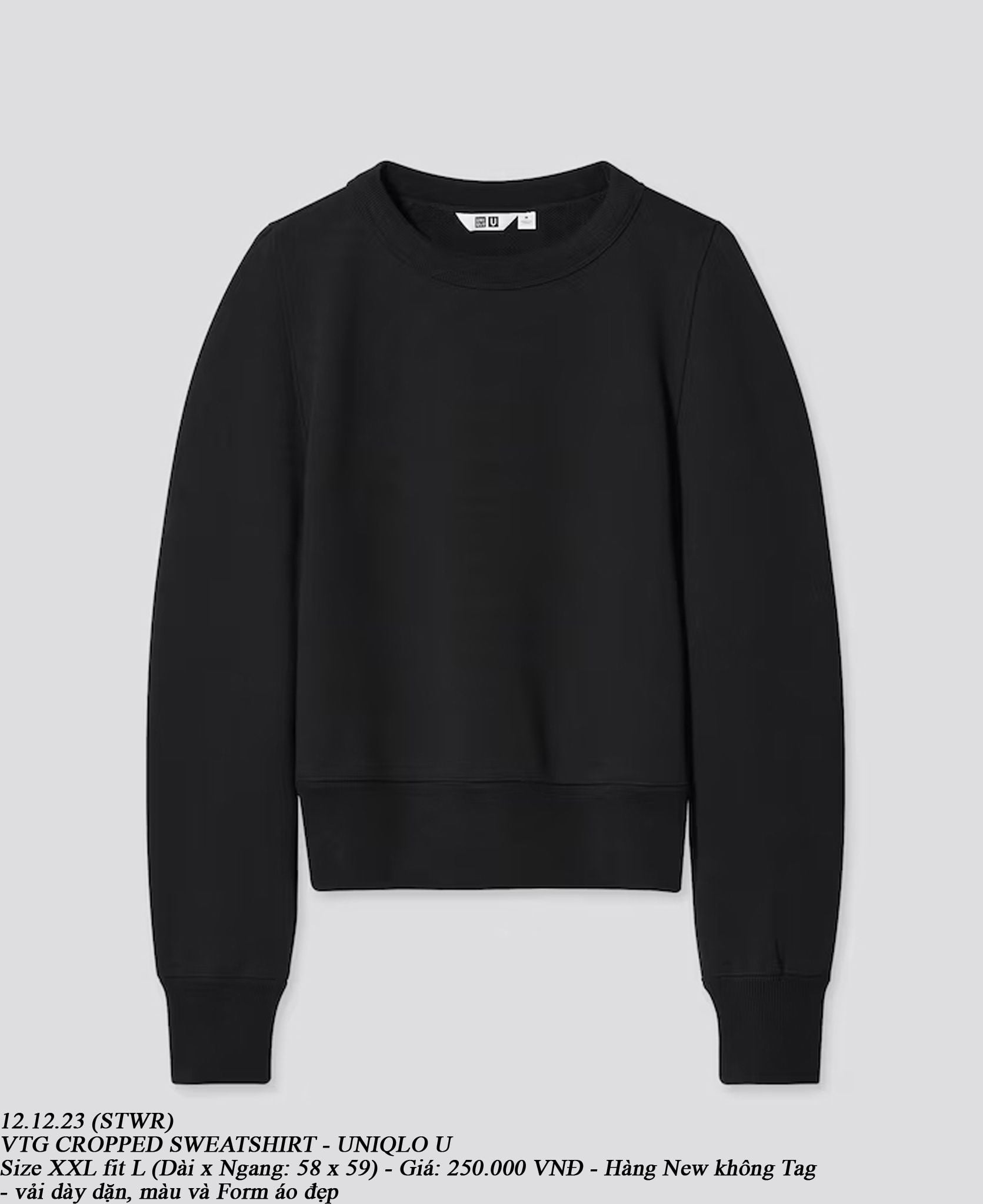  12.12.23 - VTG CROPPED SWEATSHIRT - UNIQLO U 