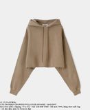  11.17.23 - VTG WASHED CROPPED PULLOVER HOODIE - MOUSSY 