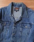  08.11.24 - VTG CROPPED DENIM JACKET - GORGON JEANS 