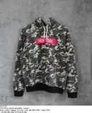  10.15.23 - VTG PULLOVER HOODIE - ANAP 