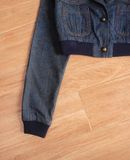  10.21.24 - VTG CROPPED DENIM JACKET - ACTRESS OF BEAUTIFUL 
