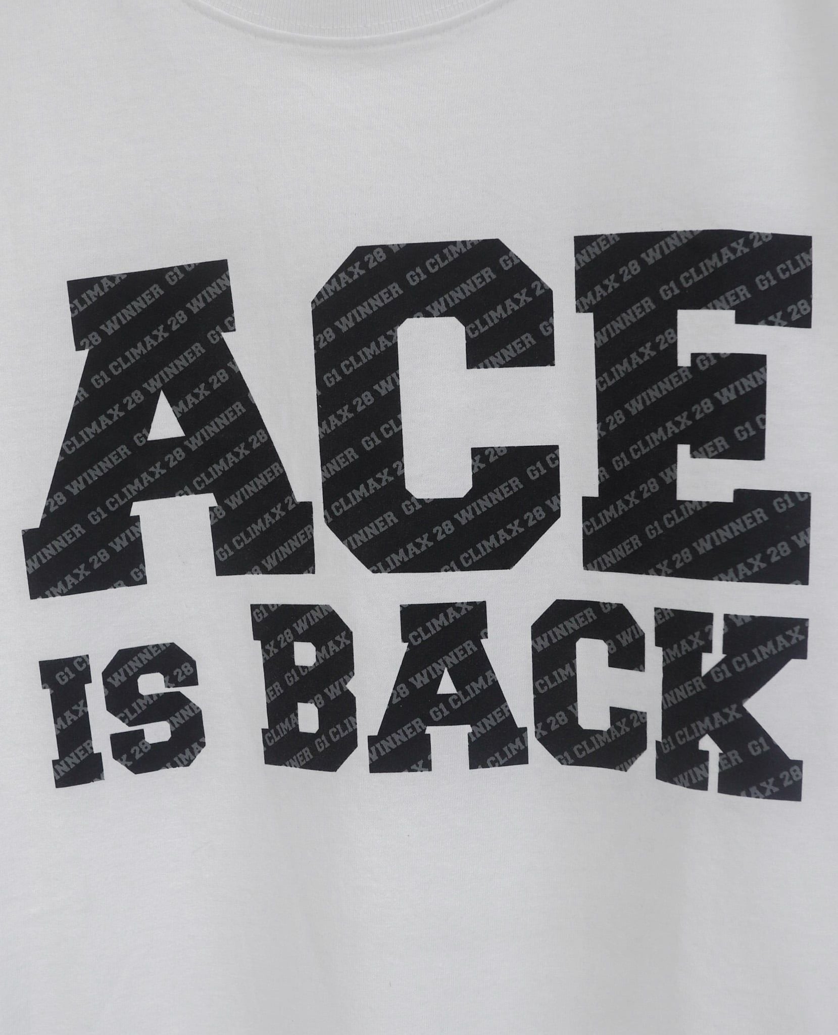  07.21.23 - VTG T-SHIRT - NJPW HIROSHI TANAHASHI 