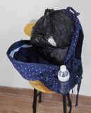  07.06.23 - VTG BAG - ROOTOTE 