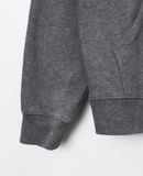 11.10.22 - VTG PULLOVER HOODIE - DICKIES 