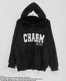  11.23.23 - VTG FAUX FUR PULLOVER  HOODIE - CHIP CLIP 