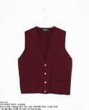  10.21.22 - VTG KNIT VEST - GUNZE 