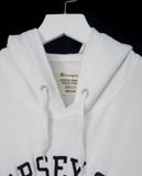  12.26.22 - VTG PULLOVER HOODIE - CHAMPION 