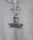  11.14.23 - VTG PULLOVER  HOODIE - PEANUTS 