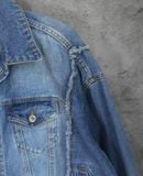 10.12.23 - VTG CROPPED DENIM JACKET - LEPSIM 
