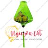 Đèn lồng Hội An khung tre vải phi vẽ tay Chợ Bến Thành (Trong nhà/ Ngoài trời)
