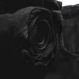  Quần Jean DEFOXX Slimfit 