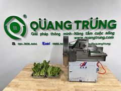 Máy thái hành sả rau củ băng tải YDQC20