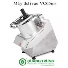 Máy thái rau củ quả VC65MS