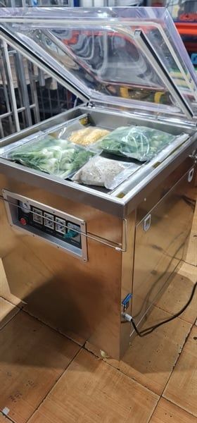 Máy đóng gói hút chân không DZQ400