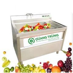 Máy rửa rau củ quả ozon