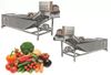 Máy sục rửa rau củ 2500