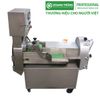 Máy thái rau củ quả công nghiệp đa năng HZ100