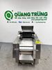 Máy chặt thịt gà băng tải TQ-A800