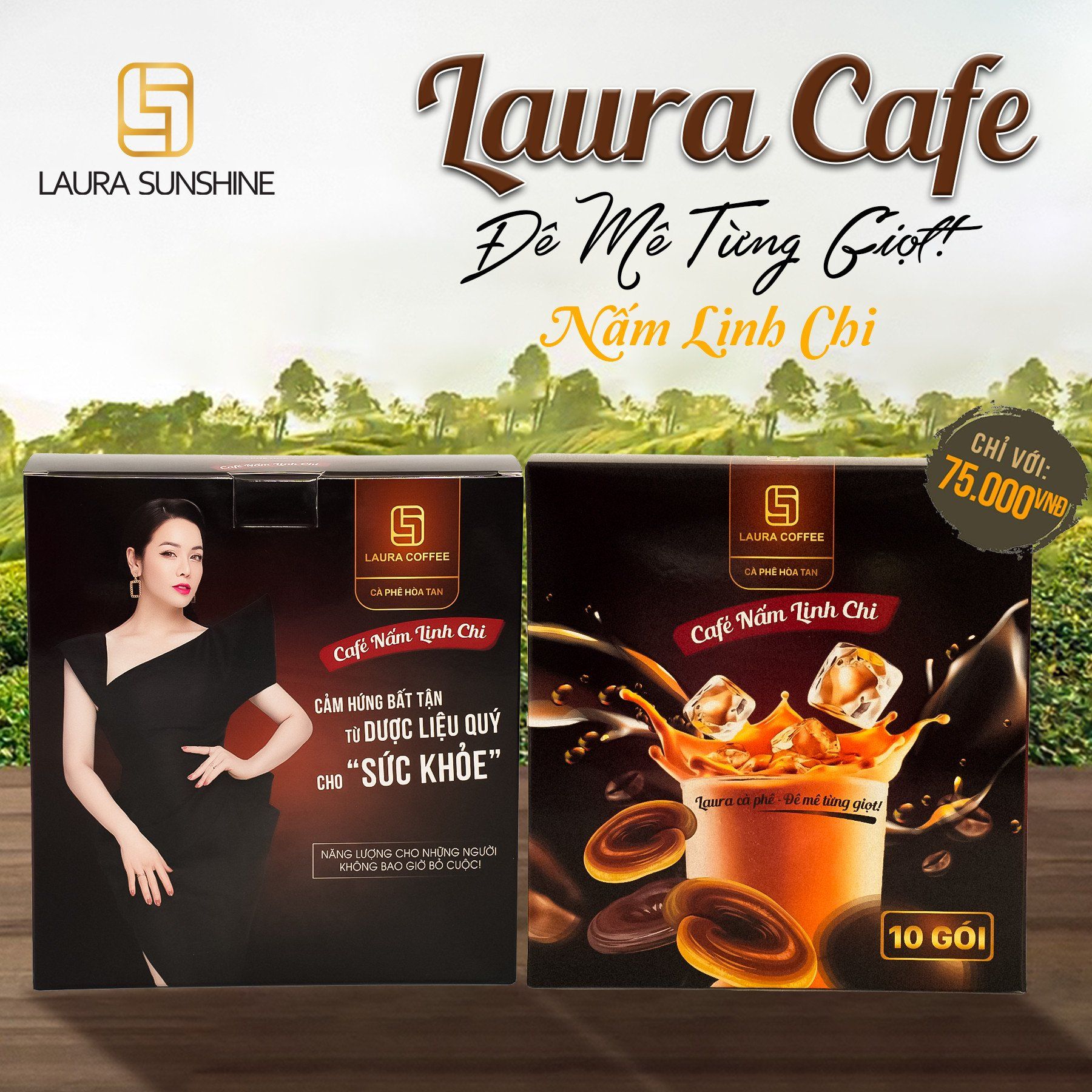  Cà phê nấm Linh chi Laura Coffee - Laura Sunshine Nhật Kim Anh 