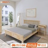 SUN CONCEPT