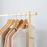 Clothes Hanger Single