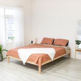Acep Bed