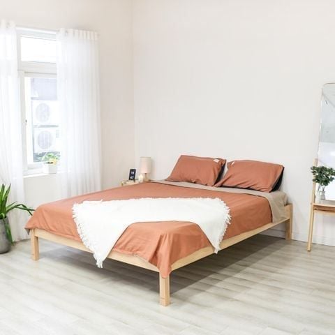 Acep Bed