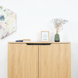 Haven Shoe Cabinet