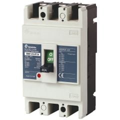 CB khối Shihlin BM 125-RTA 3P 125A 70kA