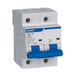 Áp tô mát Chint NXB-125 2P C100 10kA