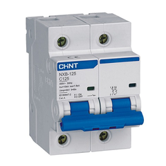 Áp tô mát Chint NXB-125 2P C125 10kA