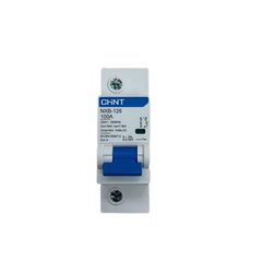 Áp tô mát Chint NXB-125 1P C100 10kA