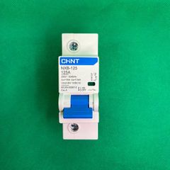 Áp tô mát Chint NXB-125 1P C125 10kA