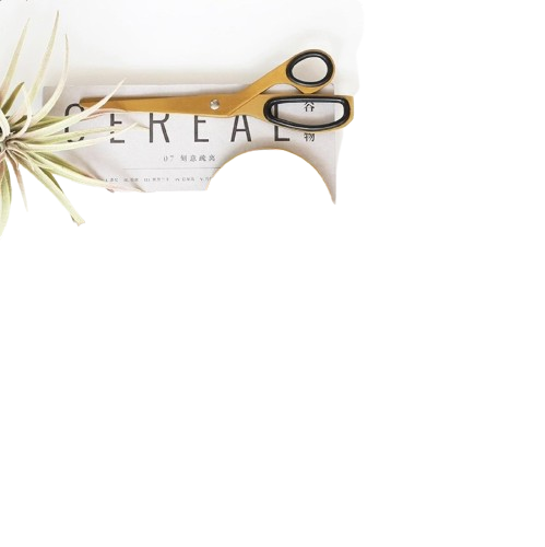 Kéo Inox Vàng