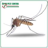 Mosquito Control